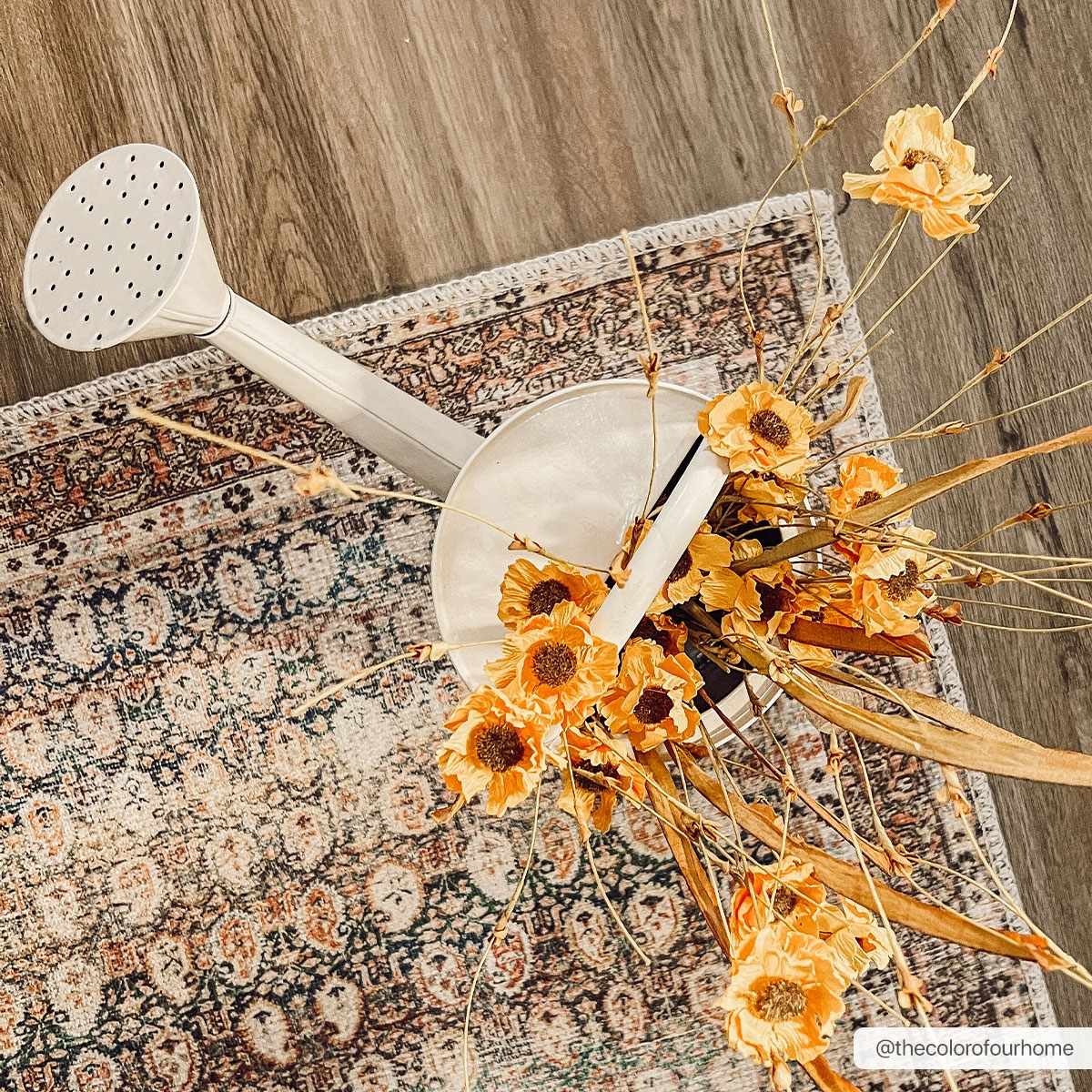 Rust Maligaya Distressed Washable Area Rug by Hauteloom