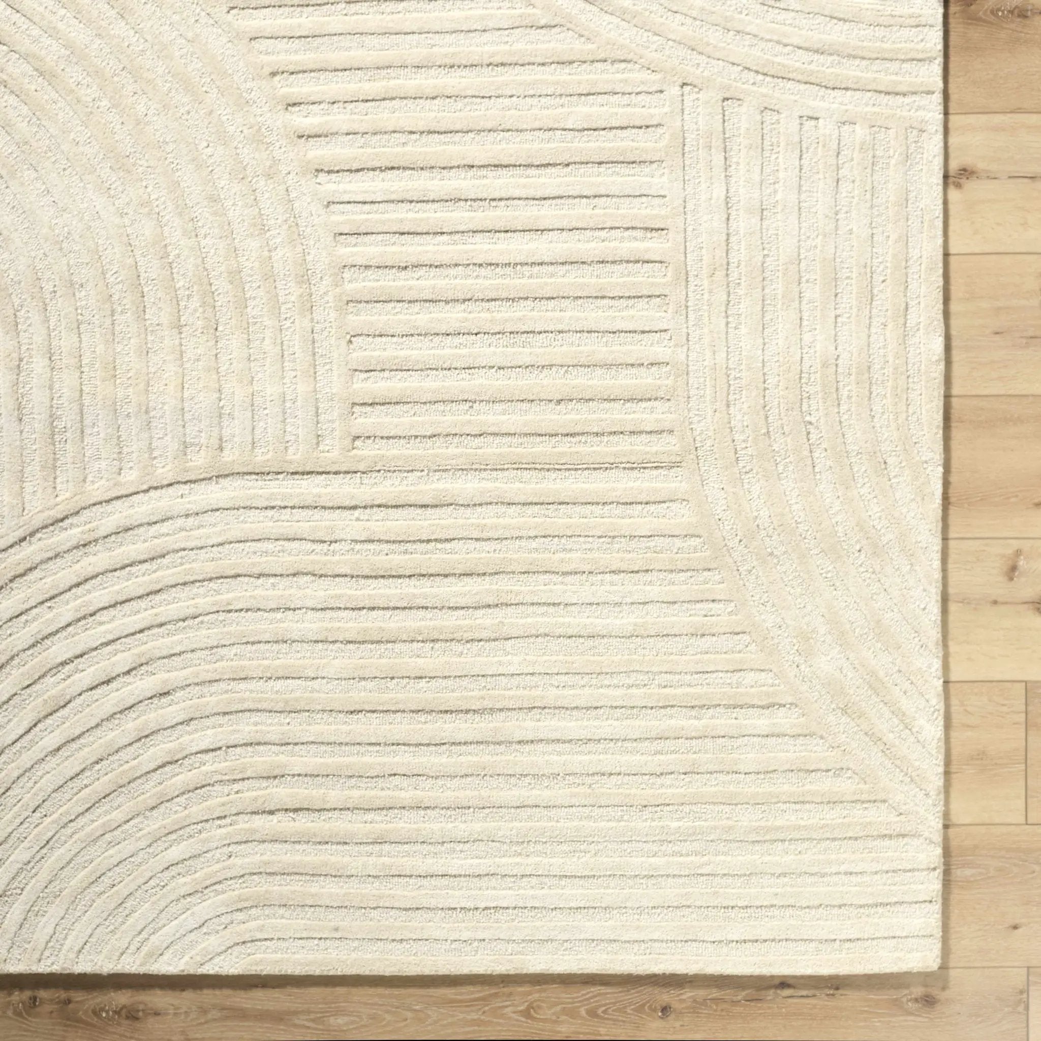 Whan Ivory Area Rug by Boutique Rugs