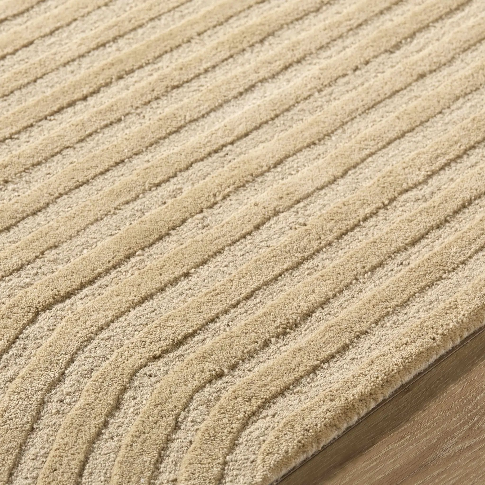 Whan Beige Area Rug by Boutique Rugs