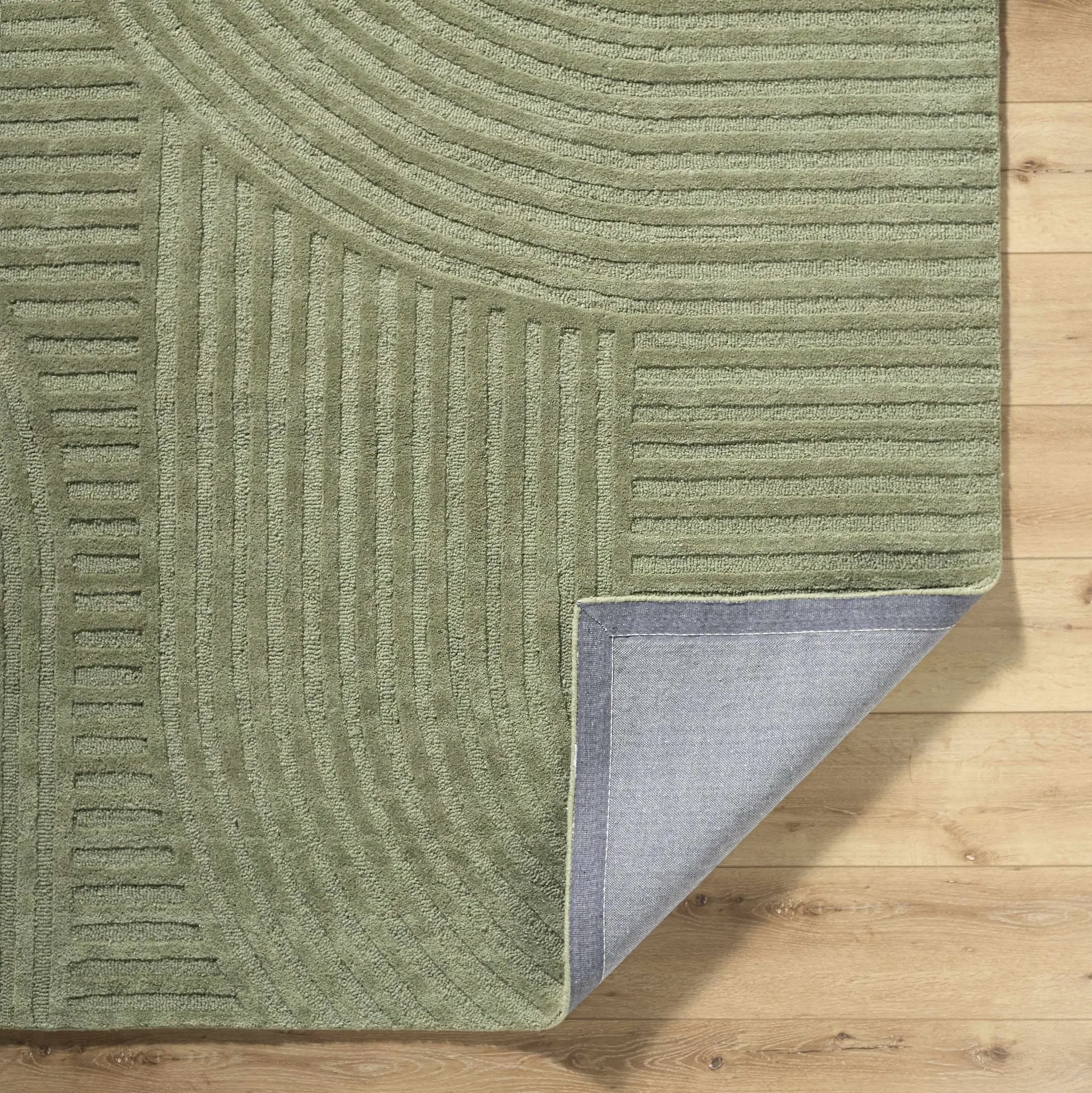 Whan Sage Area Rug by Boutique Rugs