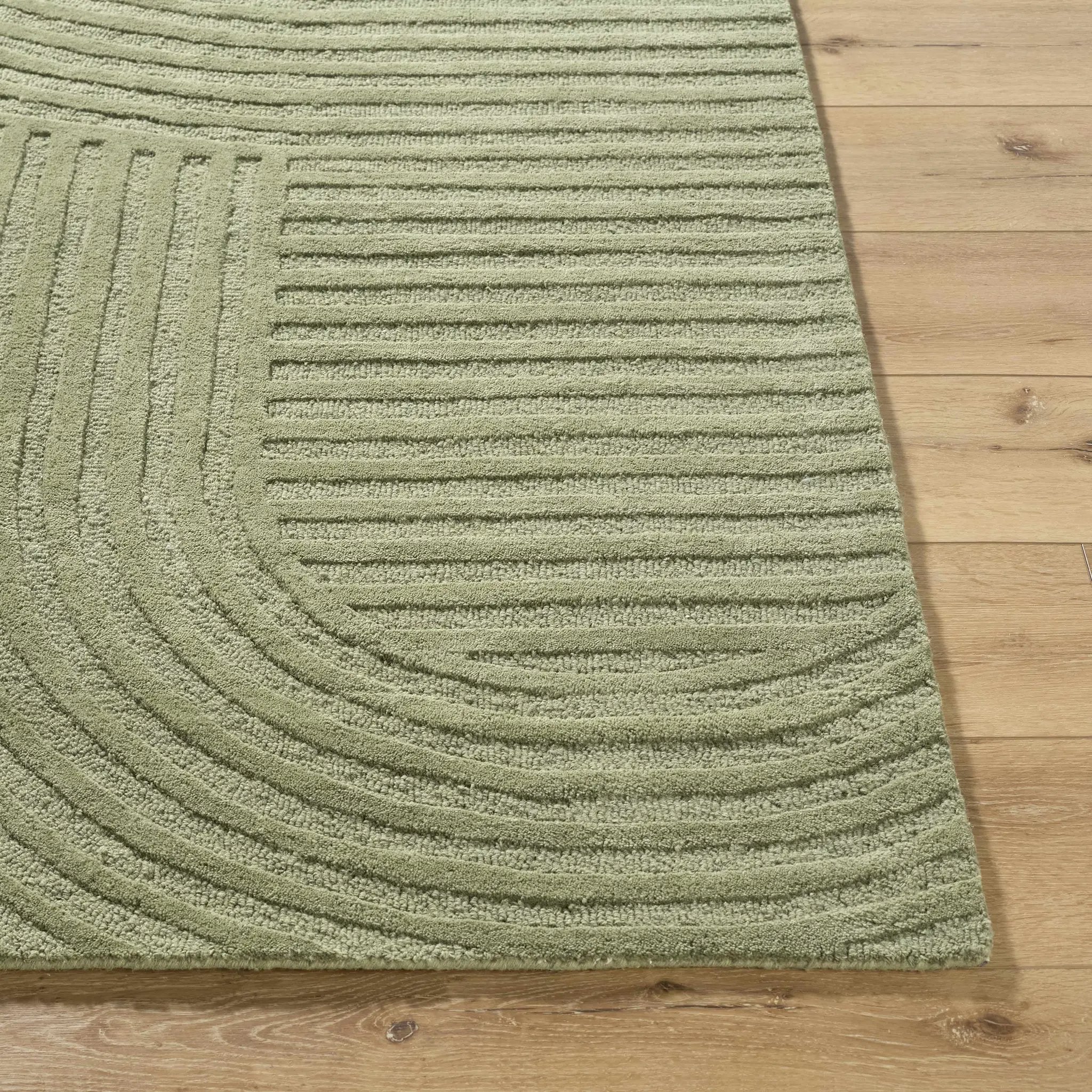 Whan Sage Area Rug by Boutique Rugs
