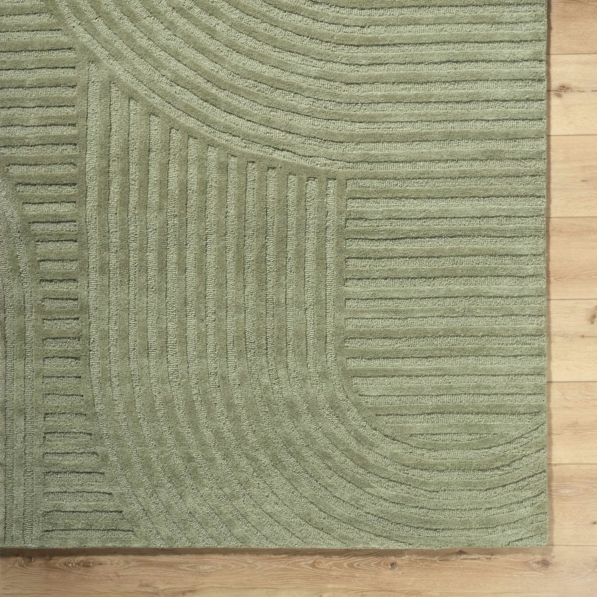 Whan Sage Area Rug by Boutique Rugs