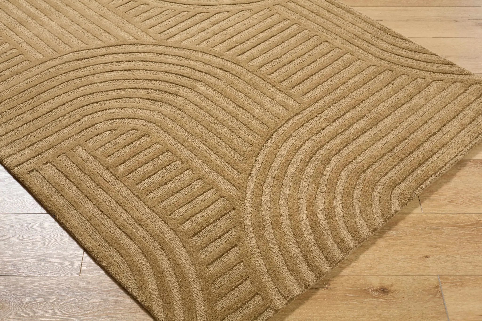 Whan Camel Area Rug by Boutique Rugs