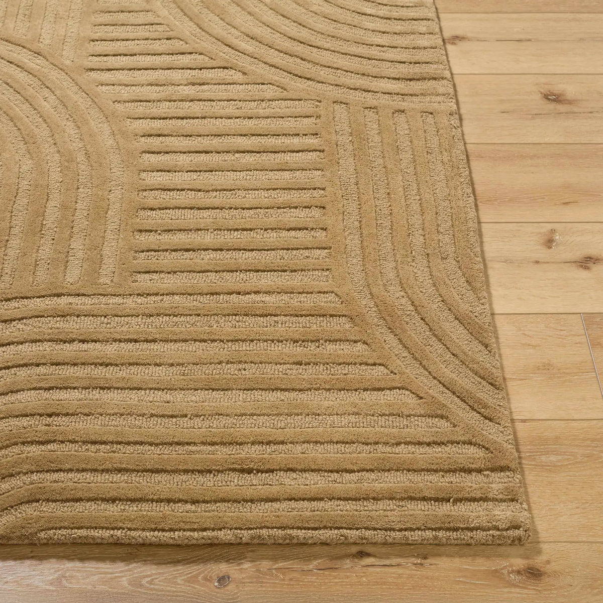 Whan Camel Area Rug, photo 7 of 8