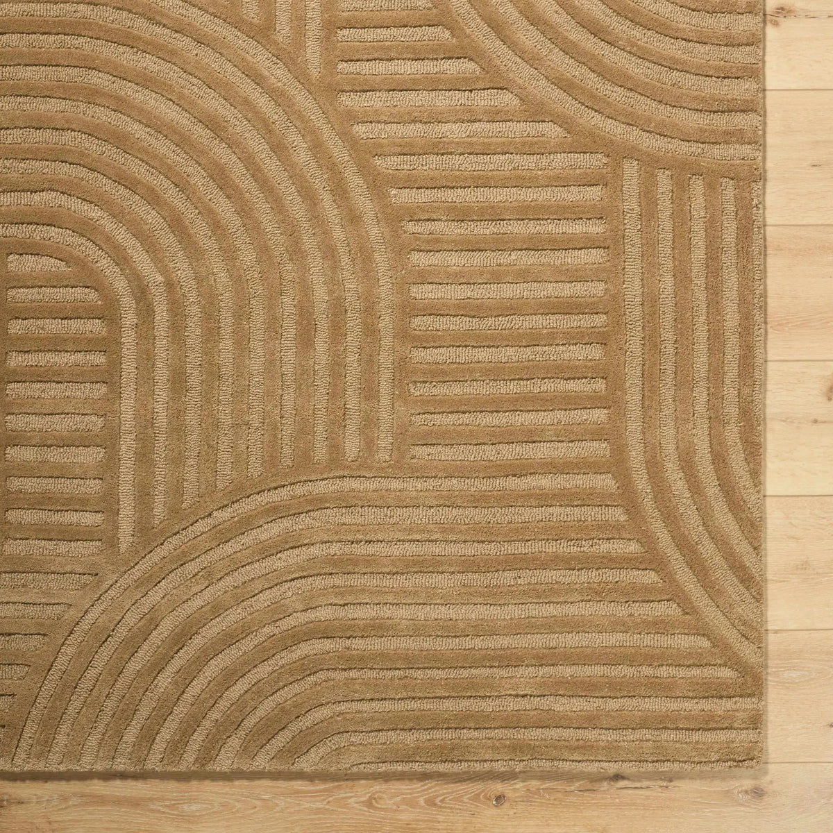 Whan Camel Area Rug, photo 6 of 8