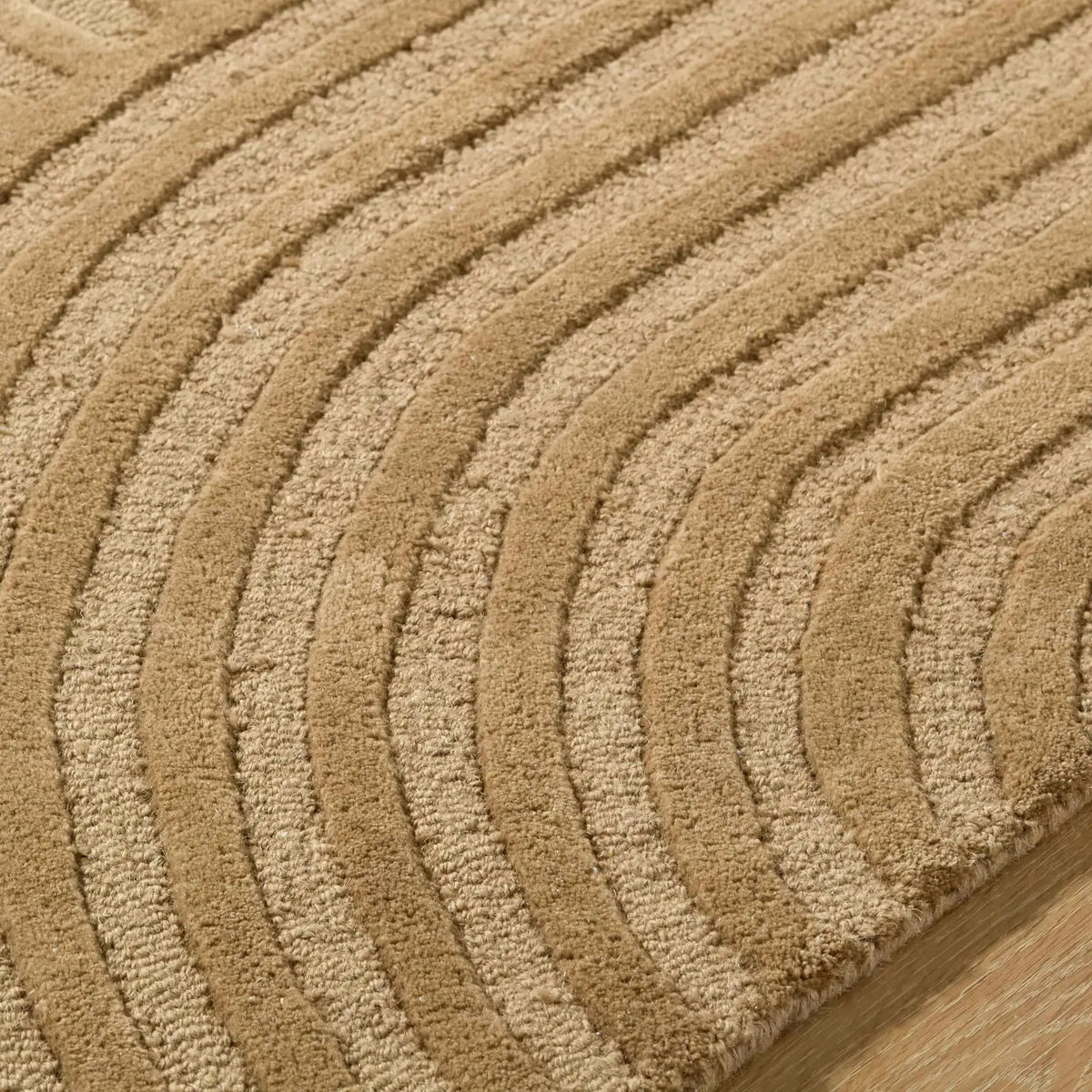 Whan Camel Area Rug, photo 5 of 8