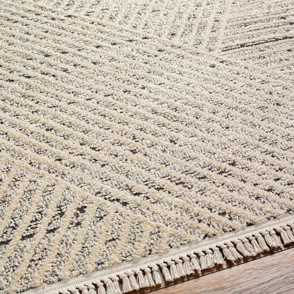 Brita Area Rug, photo 4 of 10
