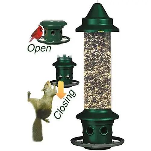 Squirrel-proof Bird Feeder with Perch Ring by HomePacific