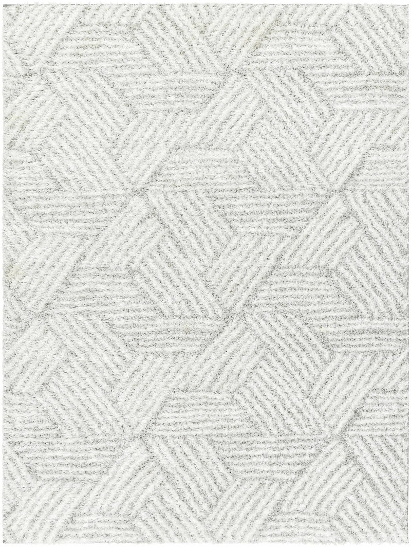 Mura Gray Area Rug by Boutique Rugs