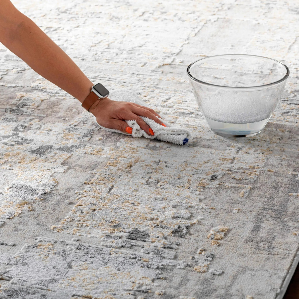 Schaefferstown Area Rug, photo 9 of 12