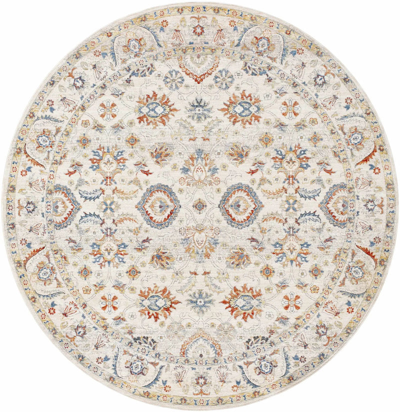 Araya Area Rug - Clearance by Boutique Rugs