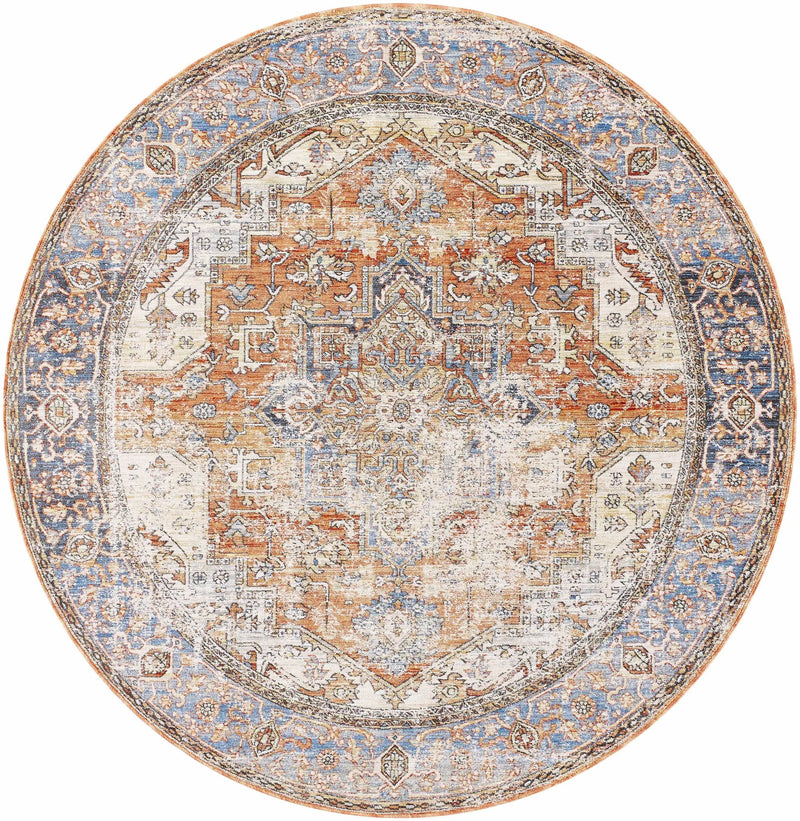 Basim Area Rug - Clearance by Boutique Rugs