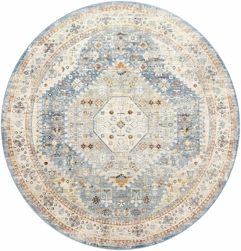 Cyndi Area Rug - Clearance by Boutique Rugs