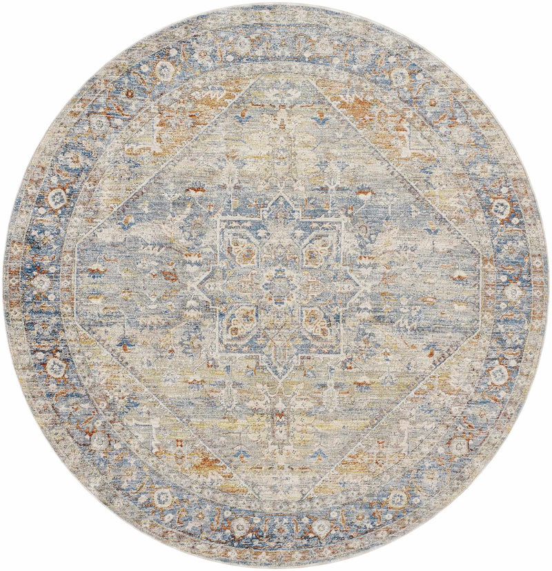 Elita Area Rug - Clearance by Boutique Rugs