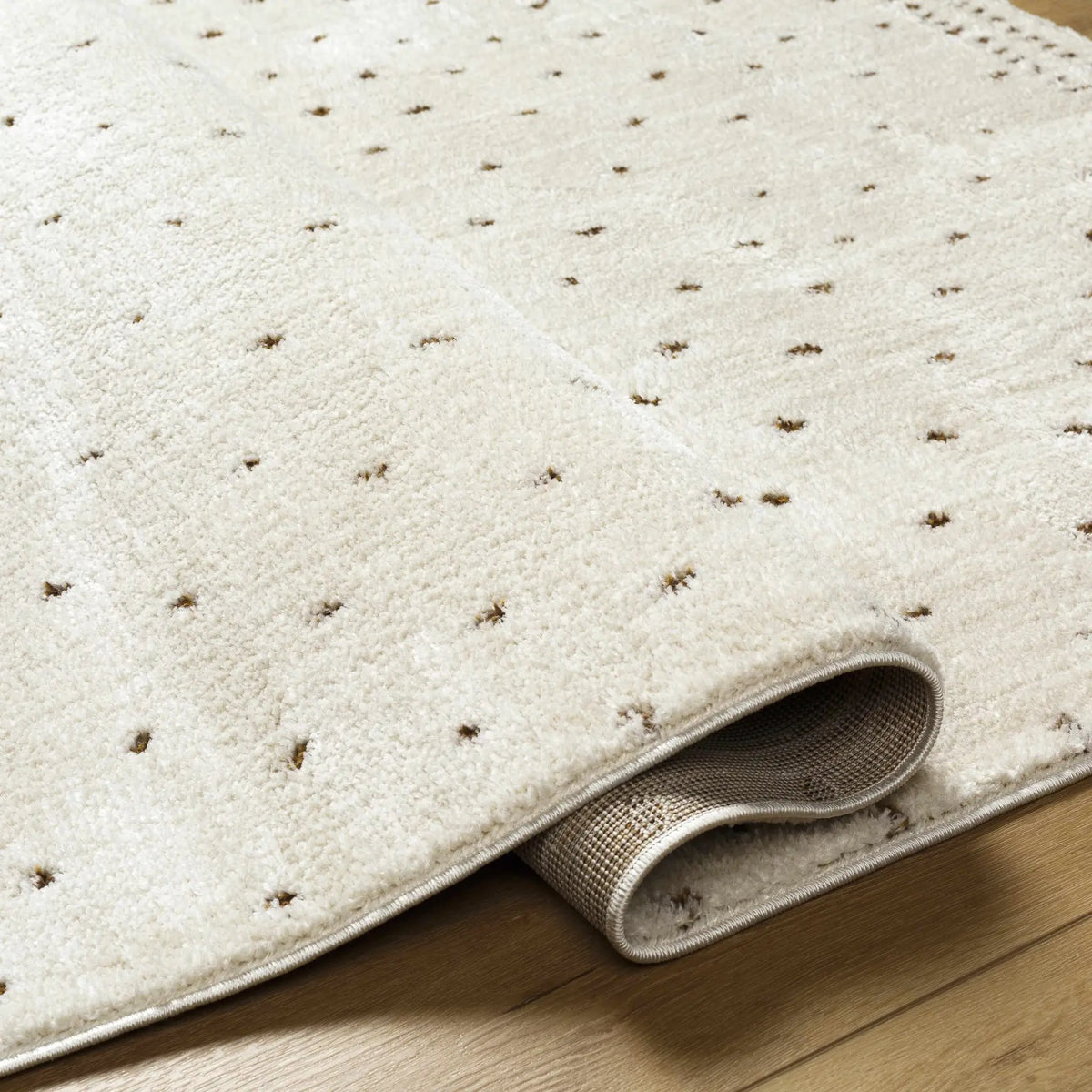 Julie Ivory & Brown Area Rug, photo 19 of 19