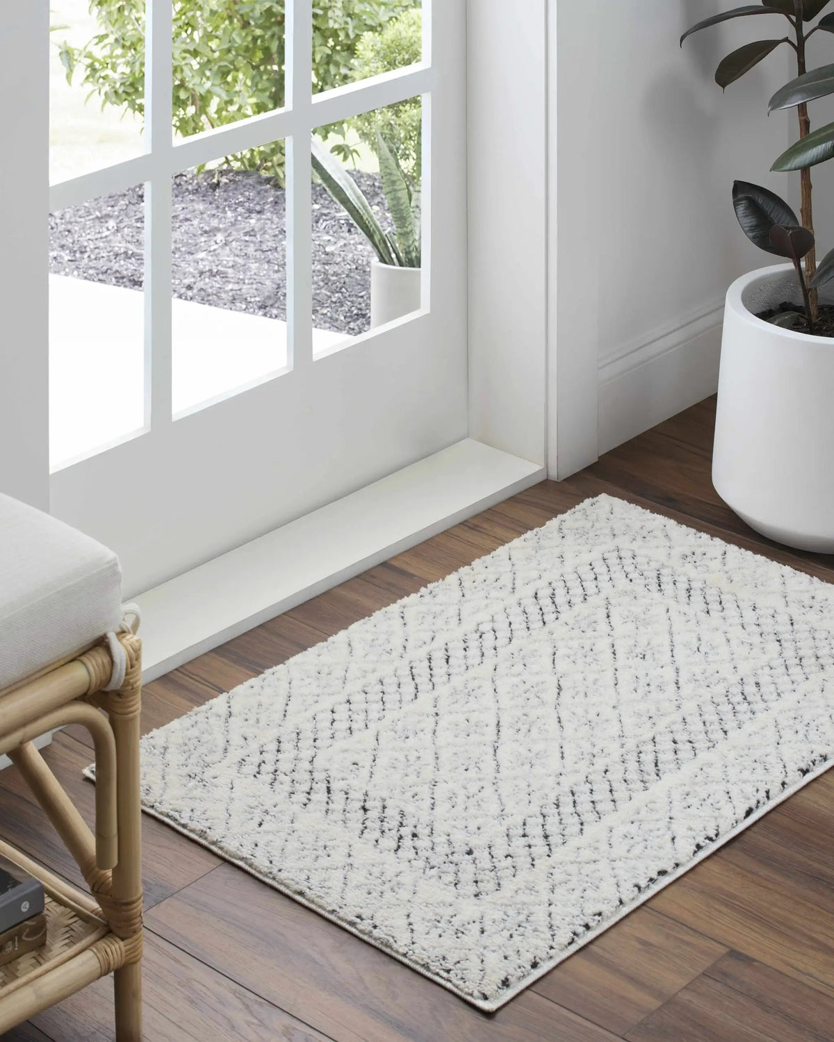 Julio Area Rug, photo 20 of 21