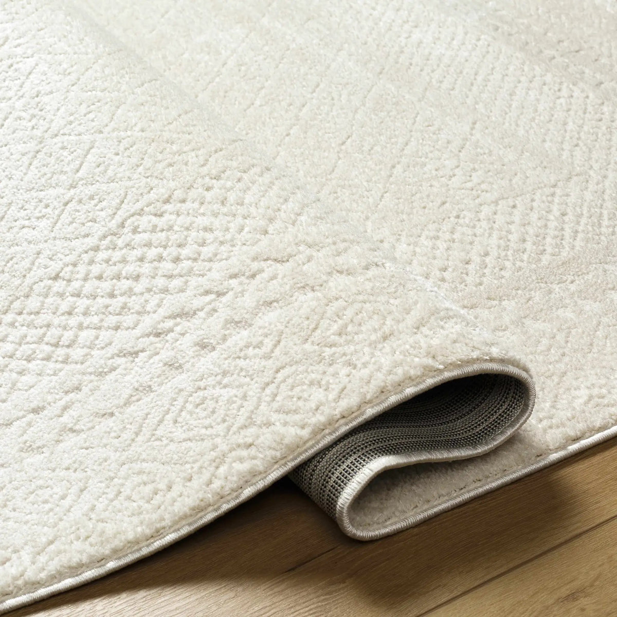 Julio Ivory Area Rug, photo 11 of 24