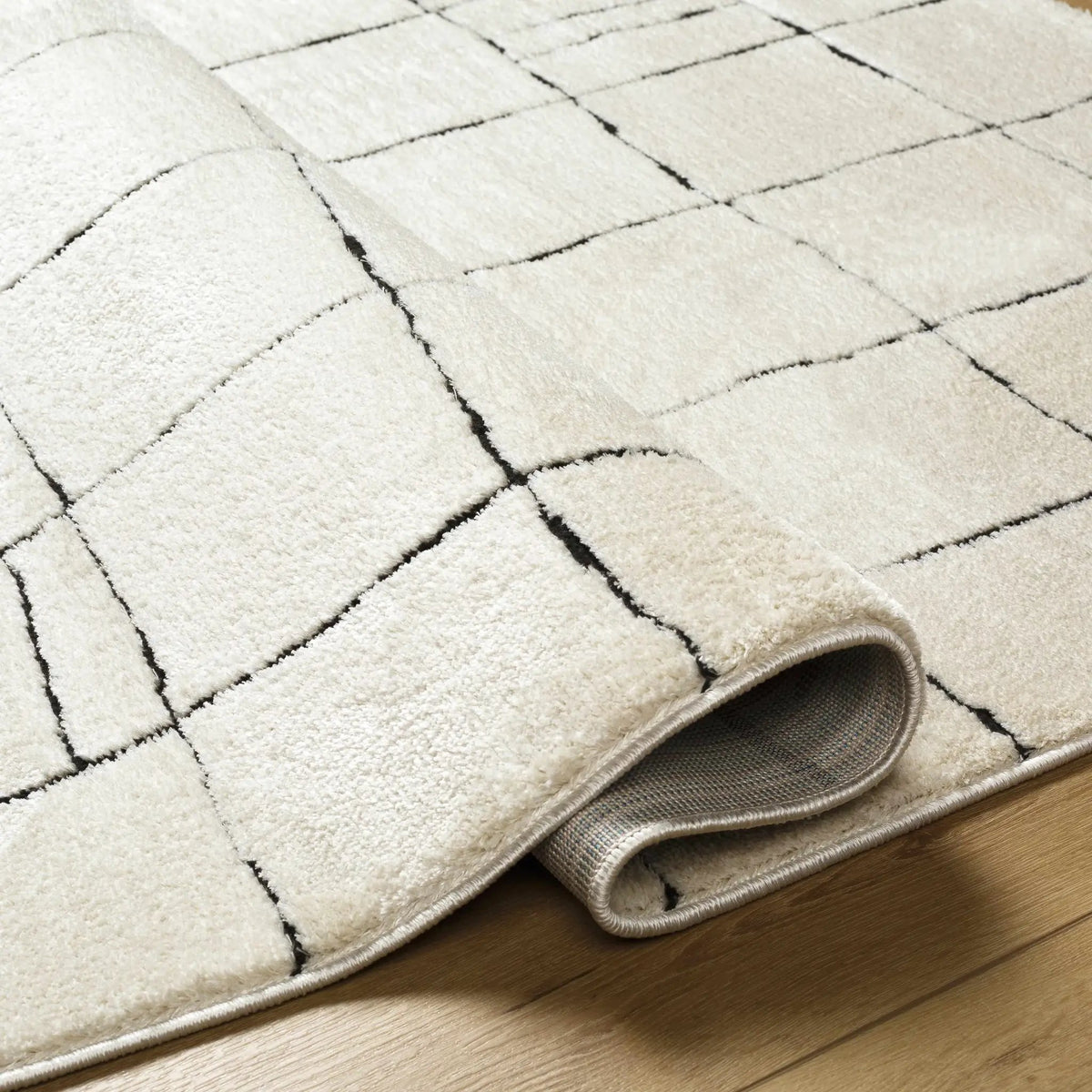Keanu Black & White Area Rug - Clearance, photo 20 of 20
