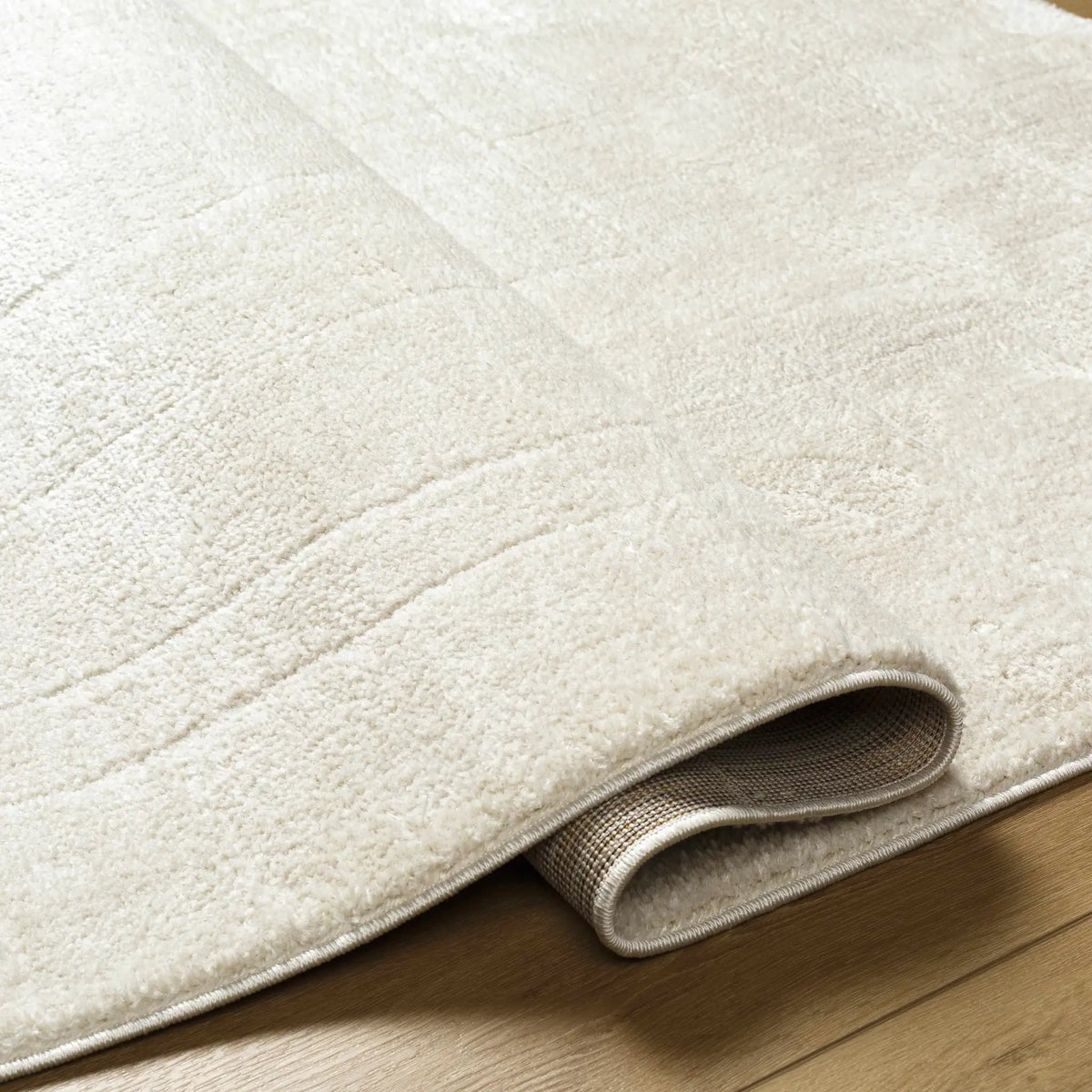 Keats Ivory Area Rug, photo 19 of 19