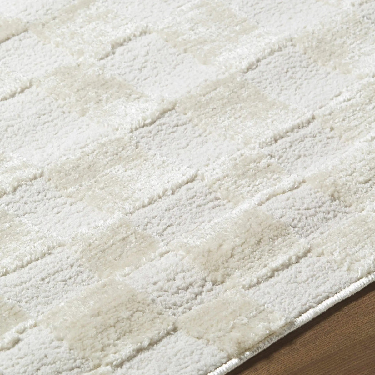 Keesa Checkered Area Rug, photo 23 of 24