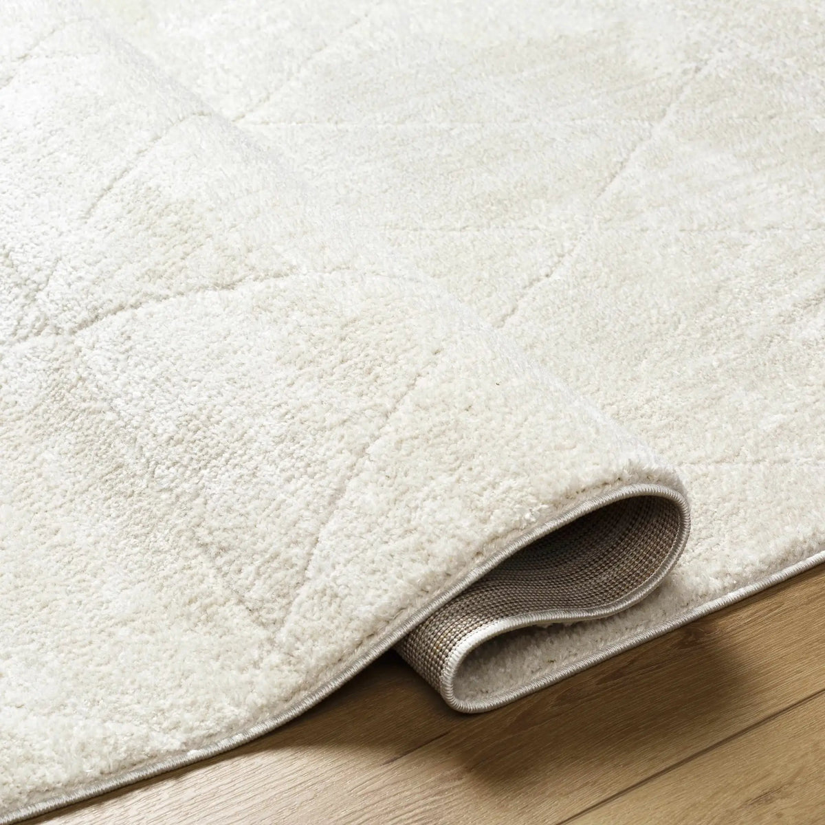 Keone Ivory Area Rug, photo 21 of 21