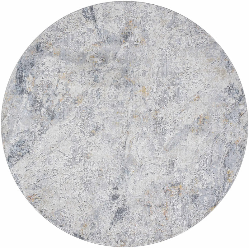 Amzie Area Rug - Clearance by Boutique Rugs