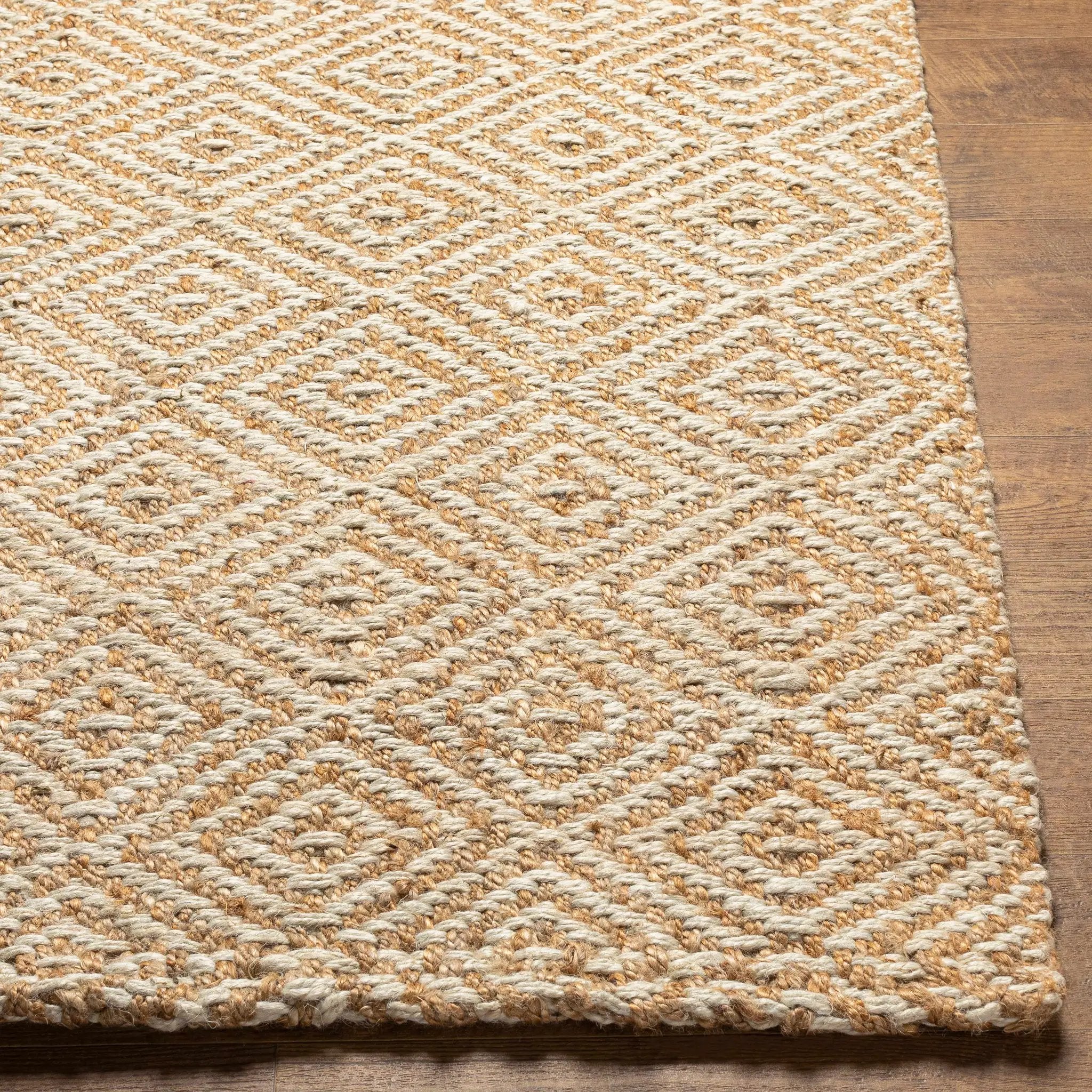 Eriko Area Rug - Clearance by Boutique Rugs
