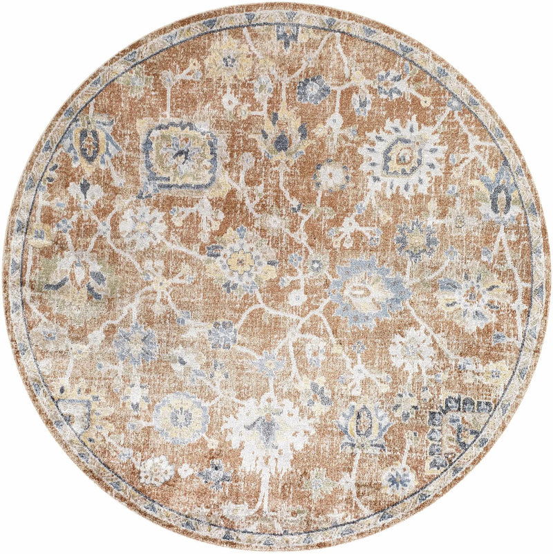 Chavi Washable Area Rug - Clearance by Boutique Rugs