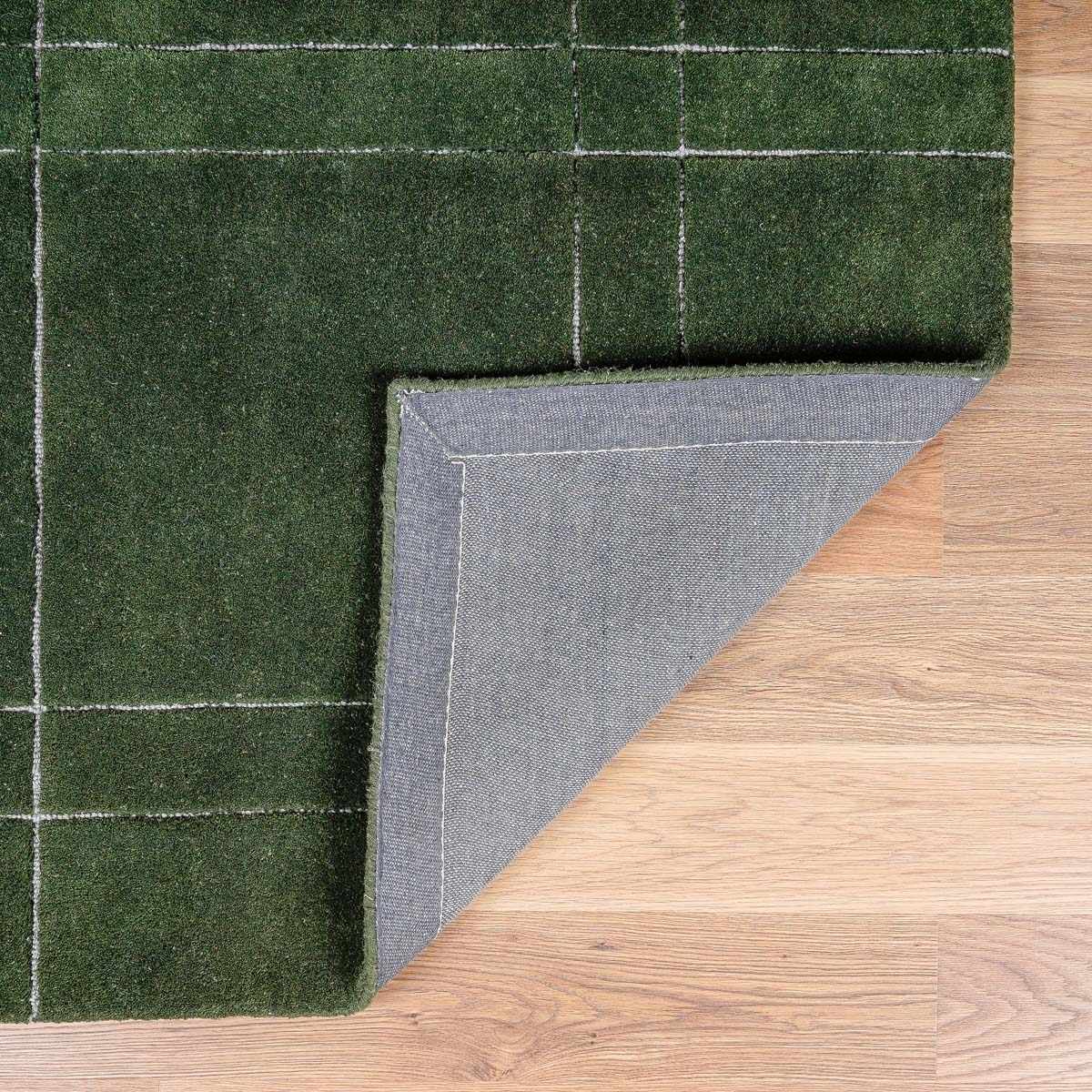 Sixto Green Area Rug by Boutique Rugs