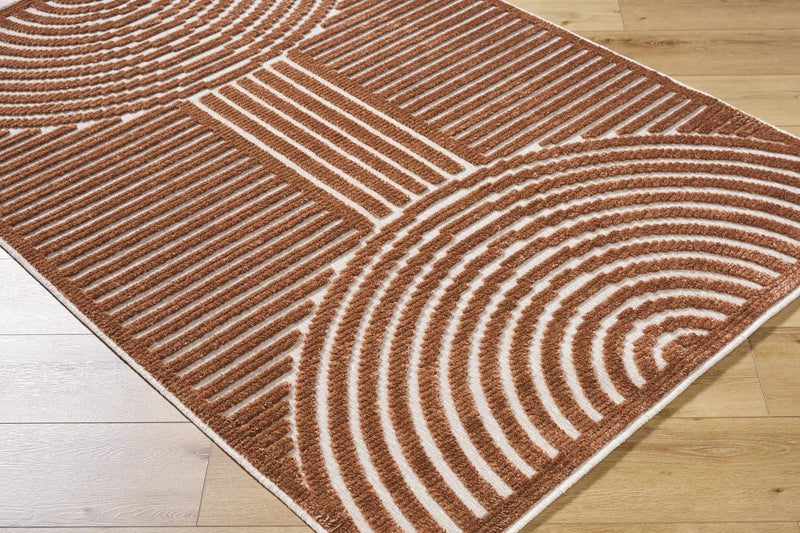 Deron Brown Washable Area Rug by Boutique Rugs