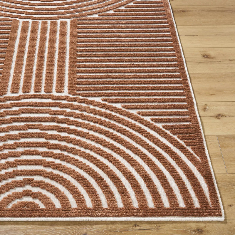 Deron Brown Washable Area Rug by Boutique Rugs