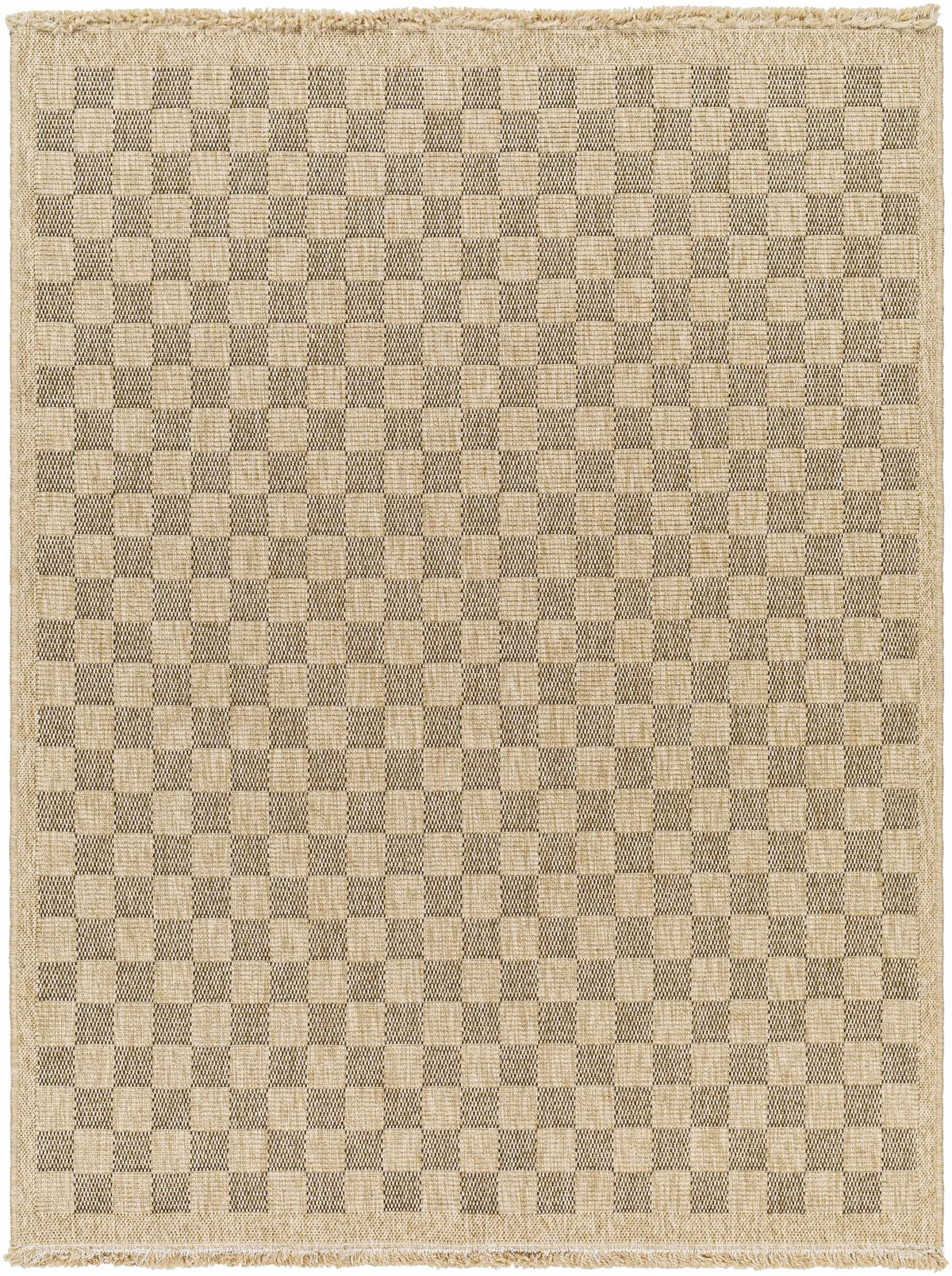 Jurek Beige & Brown Checkered Outdoor Area Rug