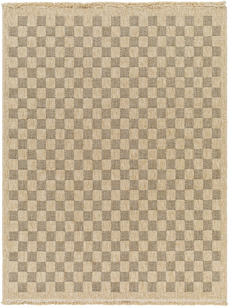 Jurek Beige & Brown Checkered Outdoor Area Rug by Boutique Rugs