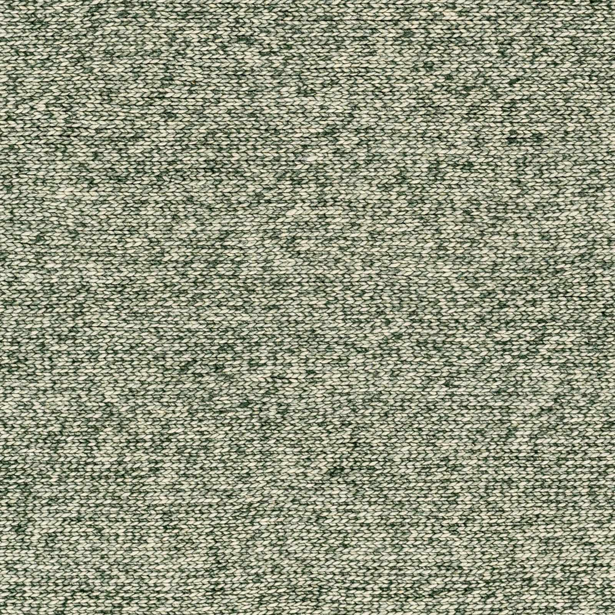 Alyra Green Solid Area Rug, sample swatch
