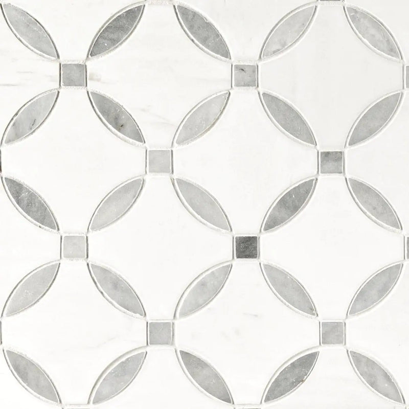 Bianco Dolomite Lola Polished Pattern Marble Mosaics by MSI Surfaces
