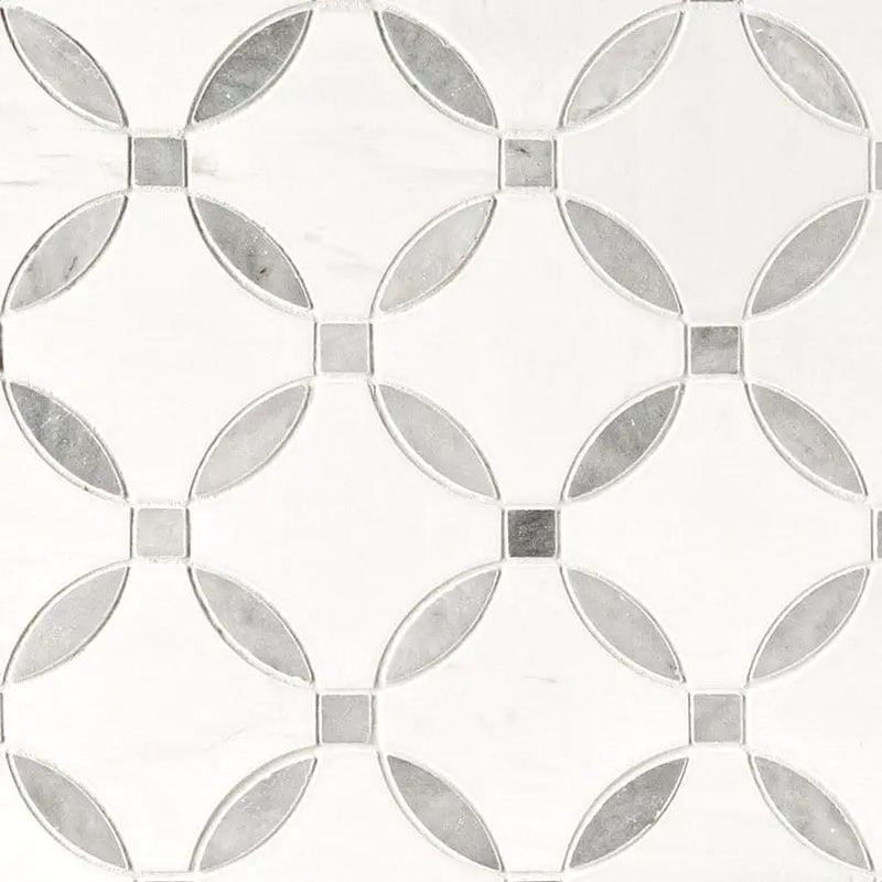 Bianco Dolomite Lola Polished Pattern Marble Mosaics by MSI Surfaces