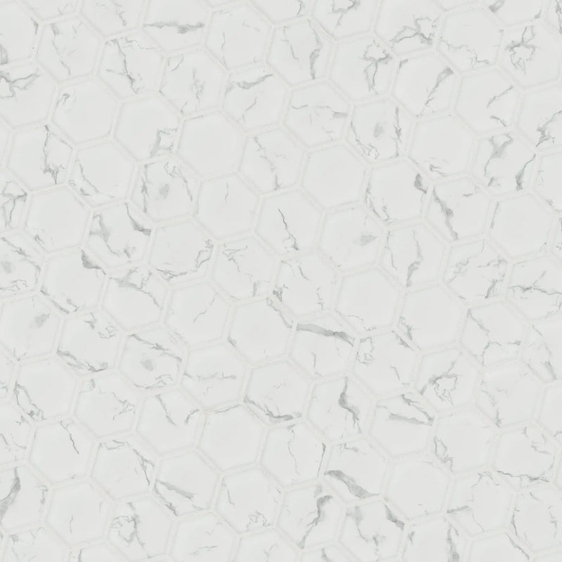 Carrara Matte 2" Hexagon Porcelain Mosaics by MSI Surfaces