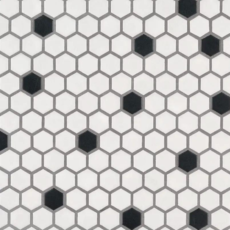 Black And White 1” Hexagon Mosaic Tile Matte Porcelain 1x1 close up