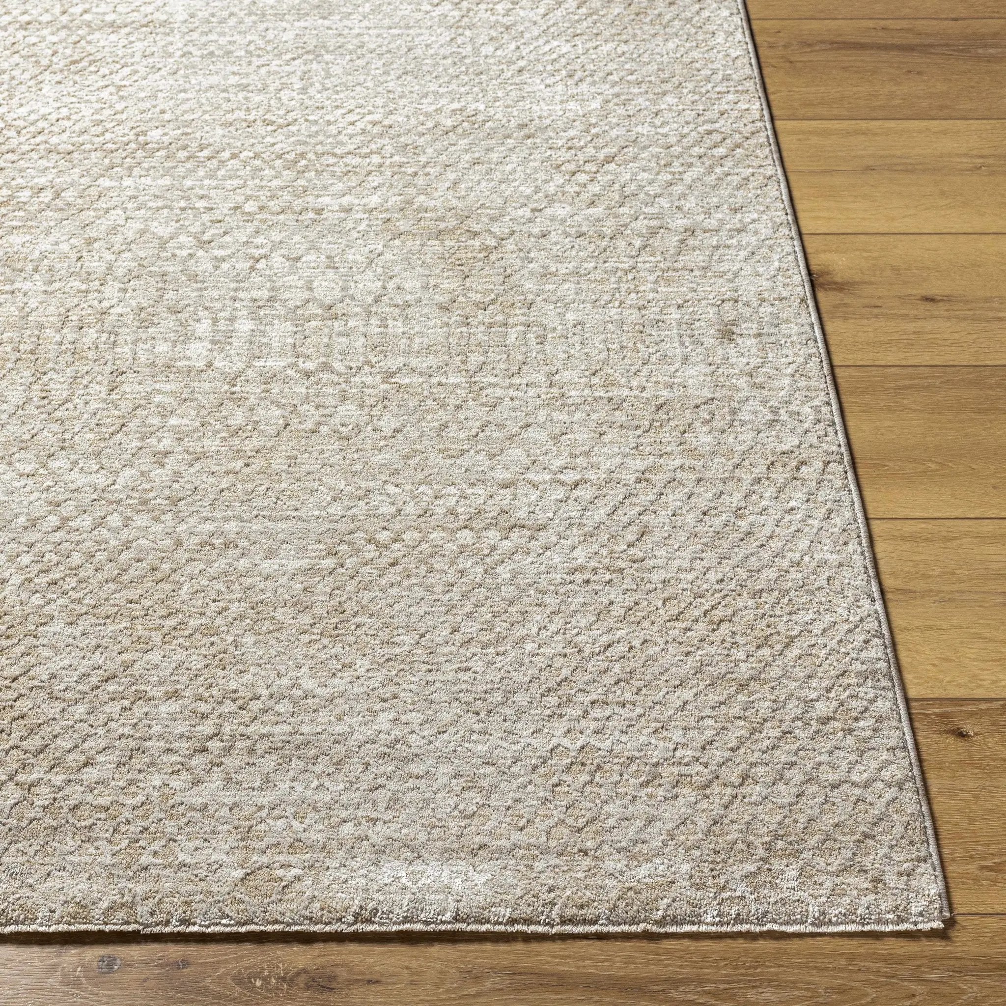 Kaiya Area Rug by Boutique Rugs