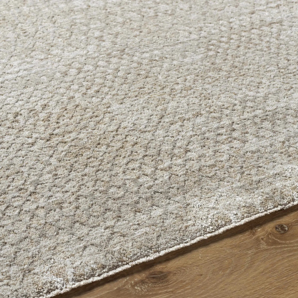 Kaiya Area Rug, photo 7 of 13