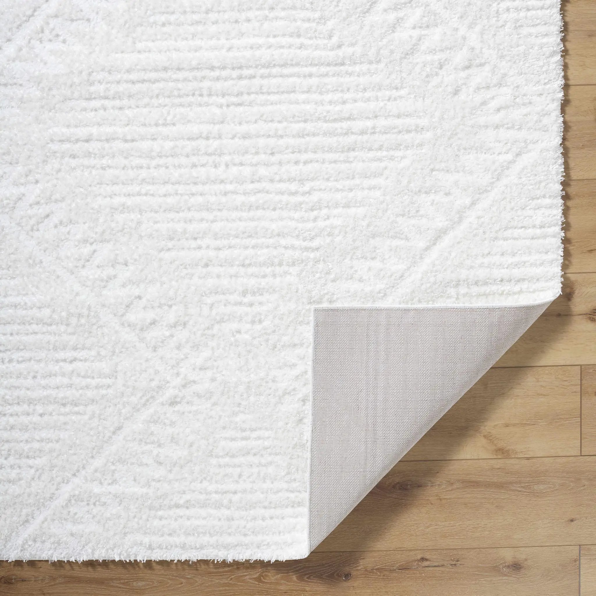 Edsel Off-White Area Rug by Boutique Rugs