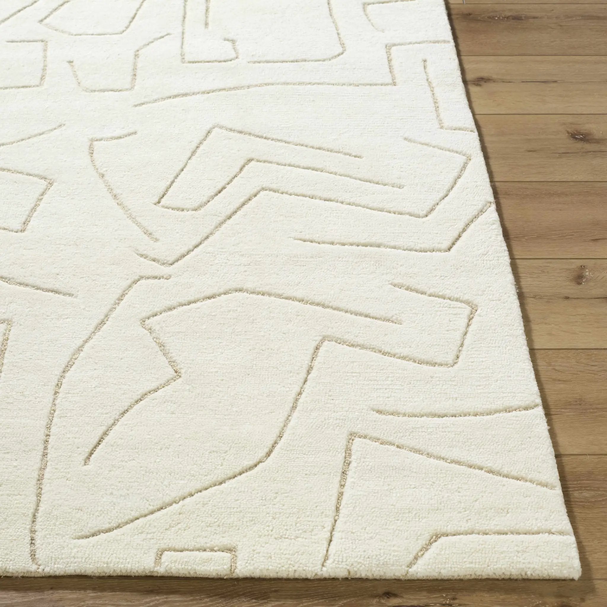 Mony Beige Area Rug by Boutique Rugs