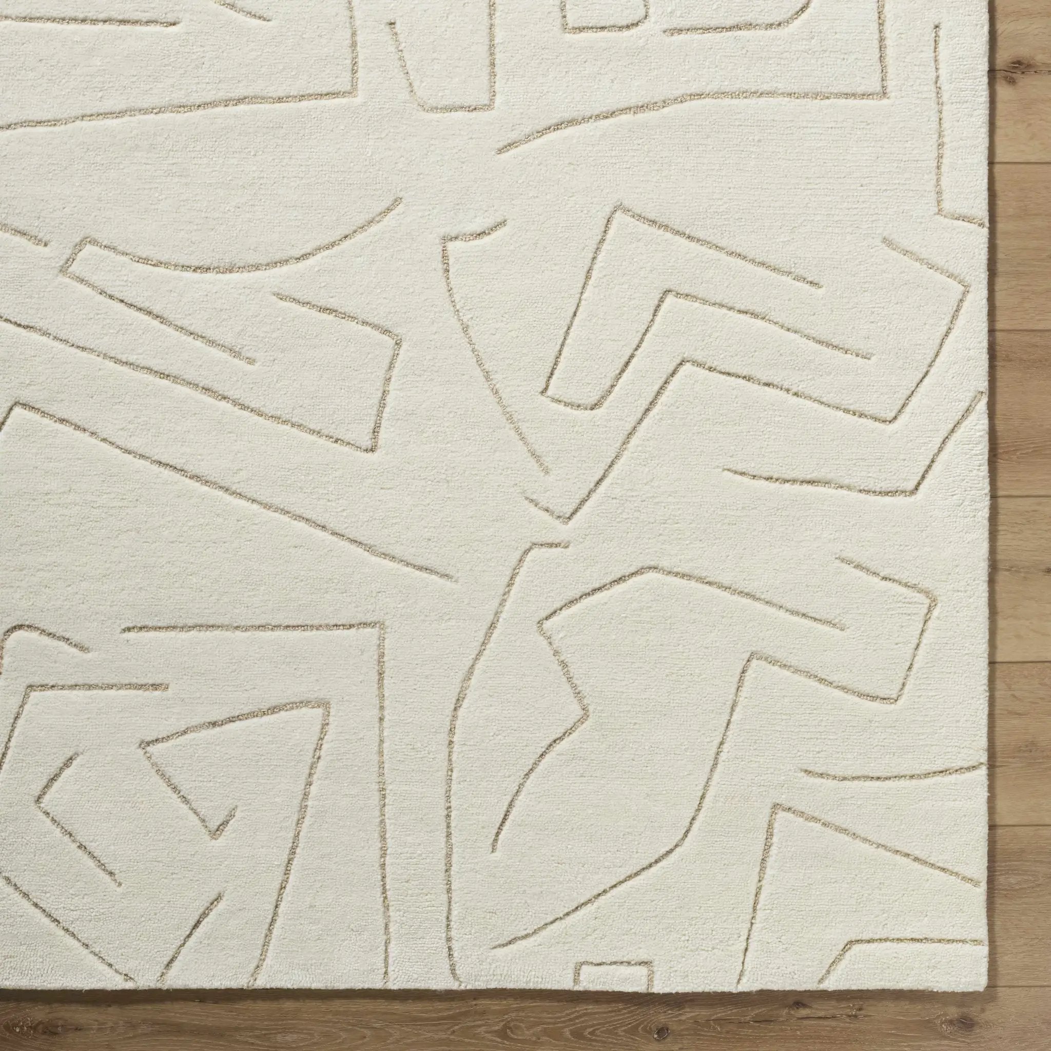 Mony Beige Area Rug by Boutique Rugs