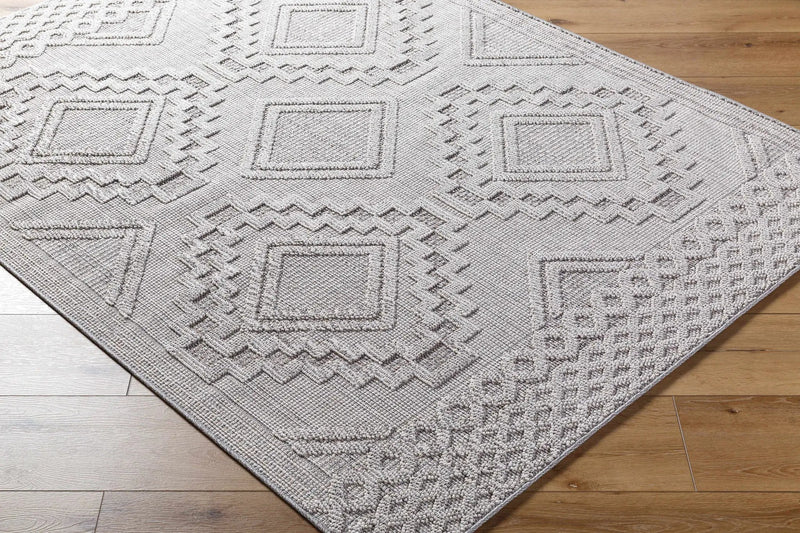 Arwid Light Gray Outdoor Area Rug - Clearance by Boutique Rugs