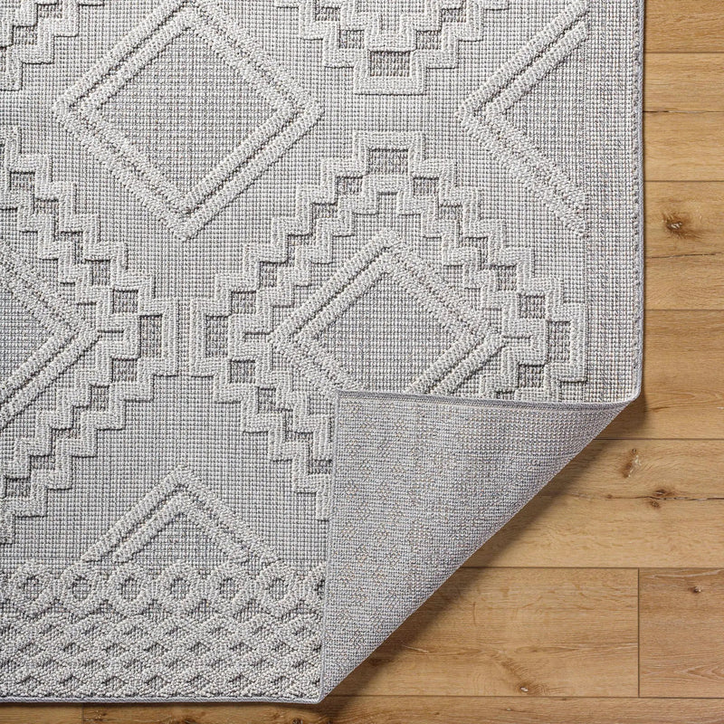 Arwid Light Gray Outdoor Area Rug - Clearance by Boutique Rugs