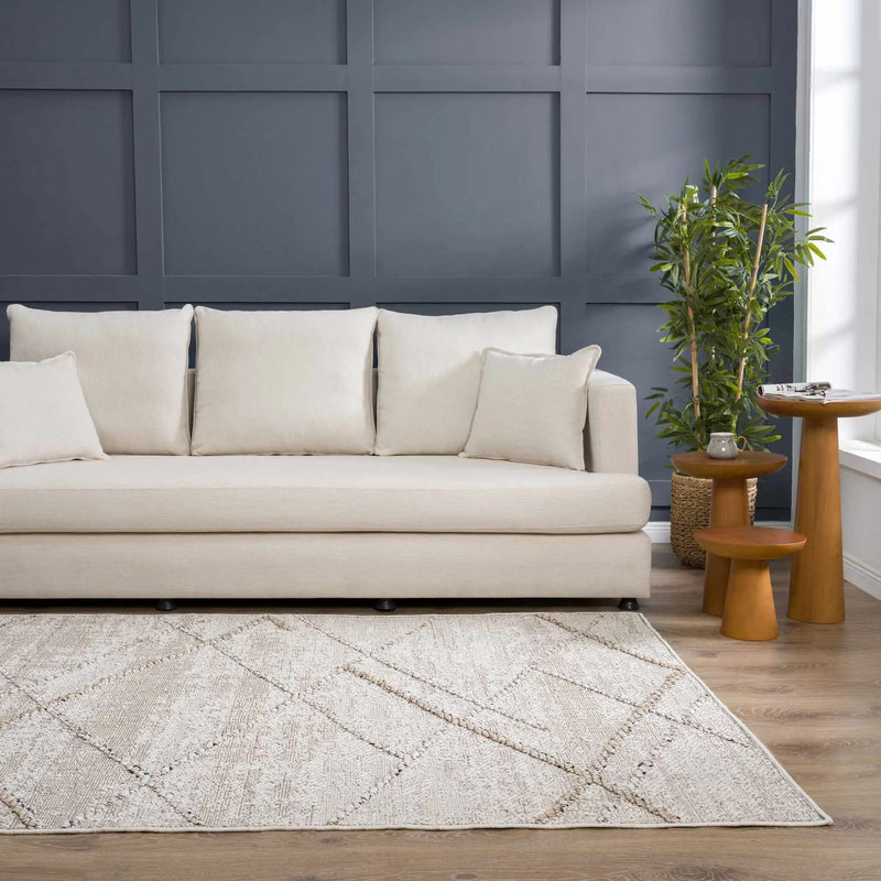 Baqer Bone & Tan Area Rug by Hauteloom