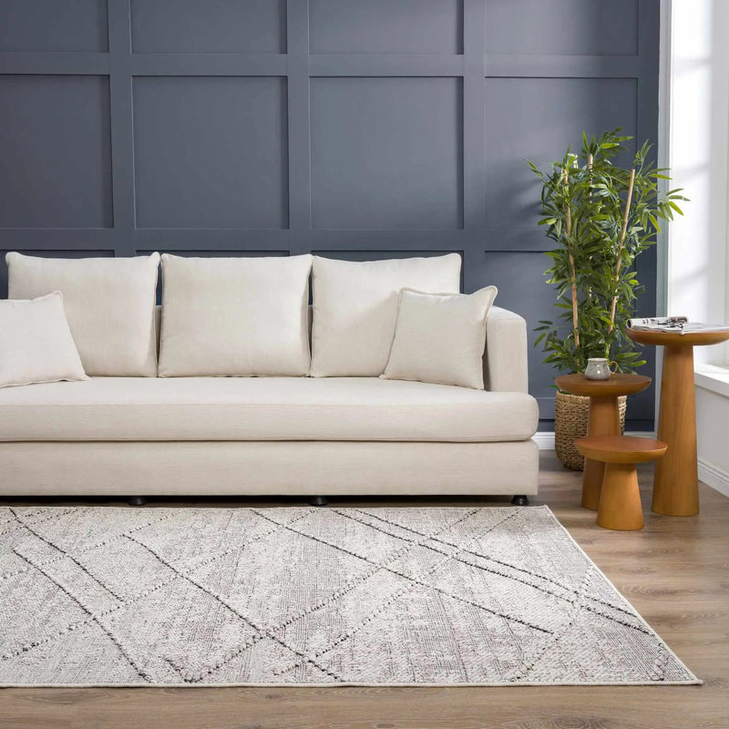 Baqer Bone & Taupe Area Rug by Hauteloom
