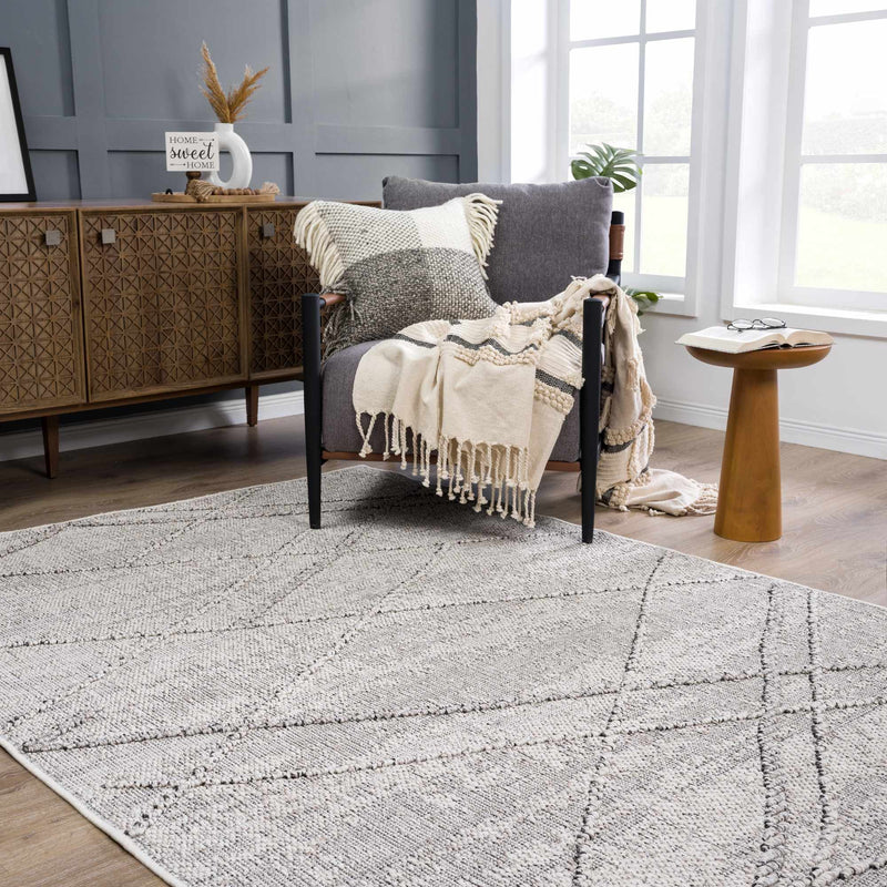 Baqer Bone & Taupe Area Rug by Hauteloom