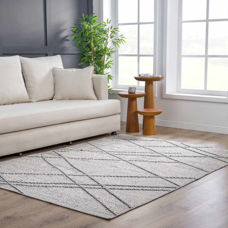 Baqer Taupe & Gray Area Rug by Hauteloom