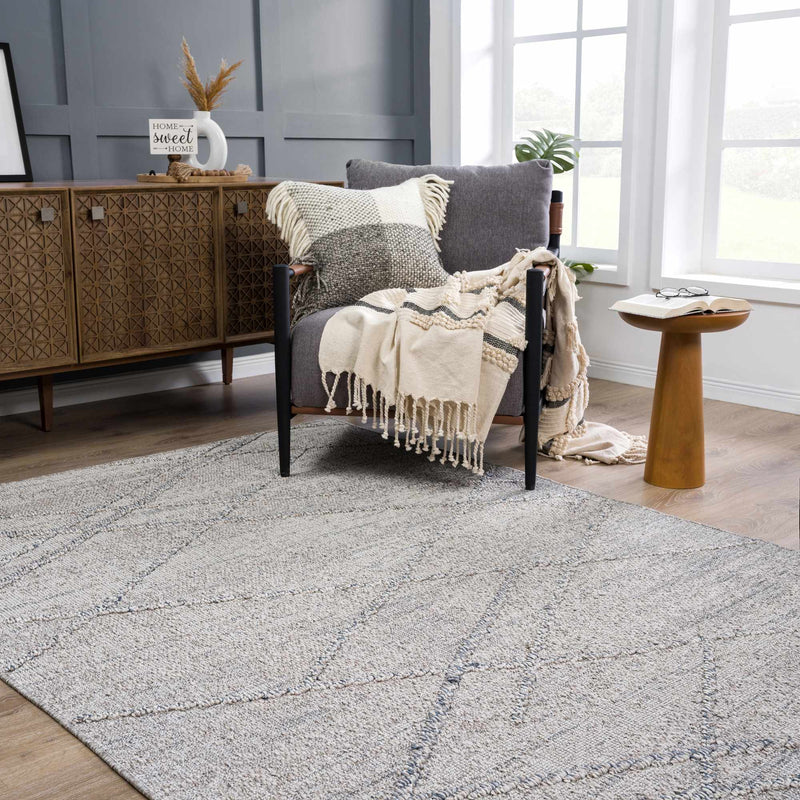 Baqer Taupe & Gray Textured Performance Outdoor Rug - Clearance by Boutique Rugs